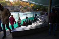 Imagine atasata: Zoo Berlin 0458.JPG